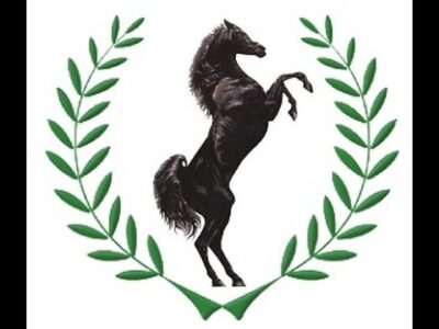 As Debts Pile Up, Stallion Group Faces an Uncertain Future