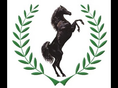 As Debts Pile Up, Stallion Group Faces an Uncertain Future