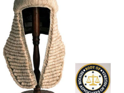 SANs renew push for Appeal, Supreme Court appointments