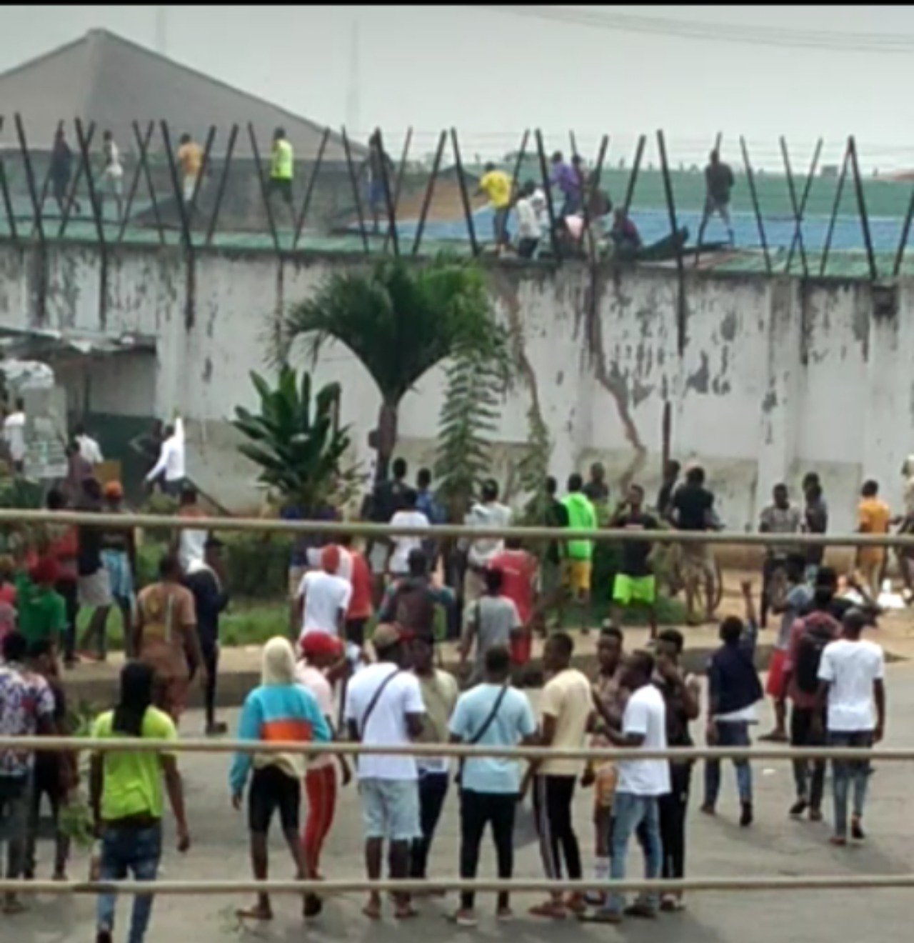 #EndSARS: Hoodlums storm Benin protest, free prisoners