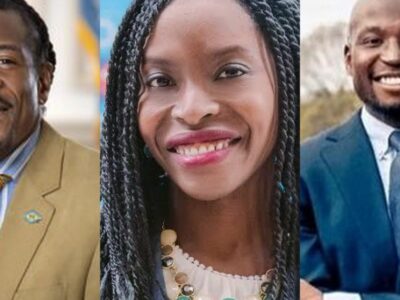 Three Nigerian-Americans win in US 2020 elections