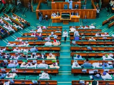 Budget committee to submit report to National Assembly on Thursday - Official