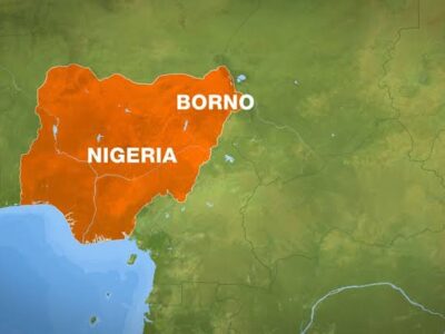 Residents flee as Boko Haram attacks four Borno villages