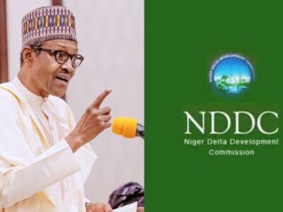 Buhari appoints Interim Administrator for NDDC