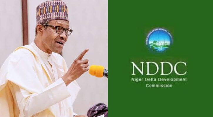 Buhari appoints Interim Administrator for NDDC