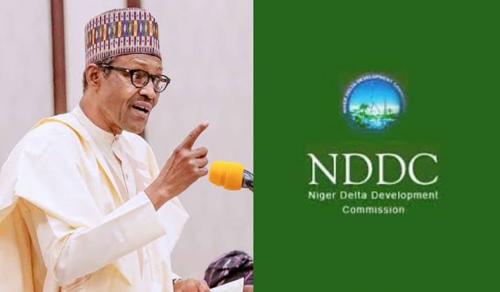 Buhari appoints Interim Administrator for NDDC