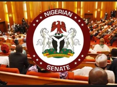 [BREAKING] Insecurity: Senate summons defence minister, service chiefs, others