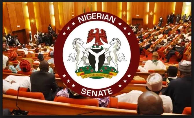 [BREAKING] Insecurity: Senate summons defence minister, service chiefs, others
