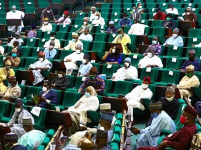 BREAKING: Reps suspend FG’s 774,000 jobs scheme