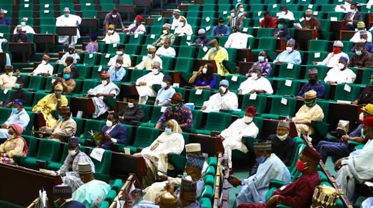 BREAKING: Reps suspend FG’s 774,000 jobs scheme