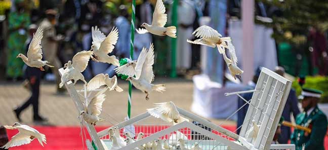 Armed Forces Remembrance Day celebration holds in Abuja