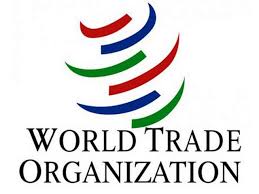Okonjo-Iweala: WTO to decide on new DG Feb 15