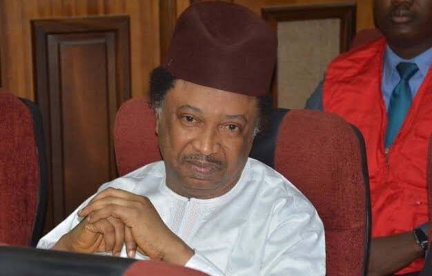 Witness narrates how Shehu Sani hurriedly returned $25,000 to ‘victim’