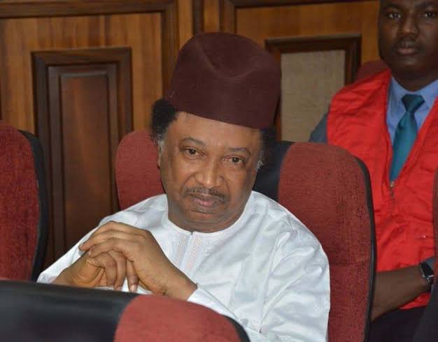 Witness narrates how Shehu Sani hurriedly returned $25,000 to ‘victim’