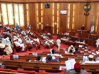BREAKING: Ogun monarchs return to Senate for border institute bill