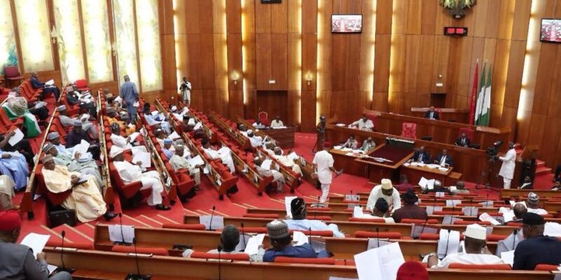 BREAKING: Ogun monarchs return to Senate for border institute bill