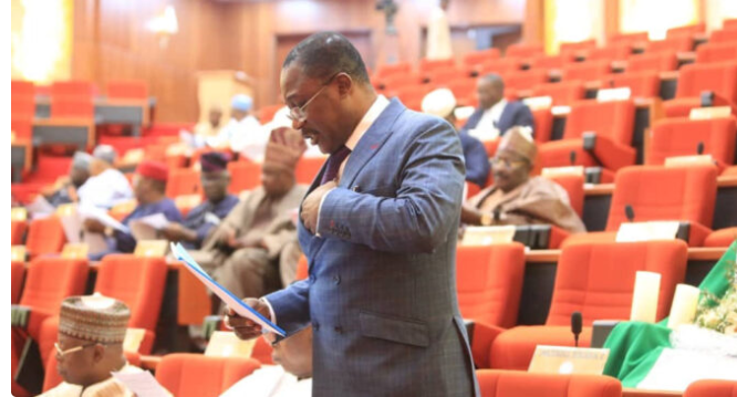 VIDEO: Smart Adeyemi Weeps On Senate Floor