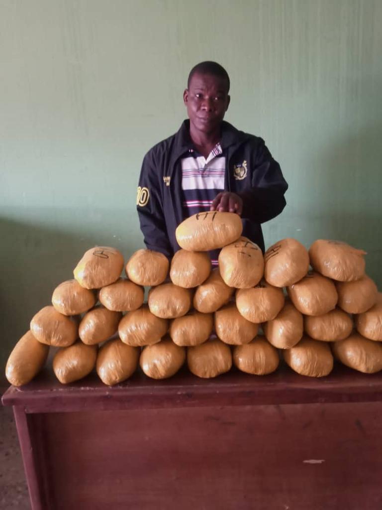 NDLEA arrests 10 suspected traffickers with 107kg of cocaine, seizes 11 motorcycles