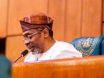 JUST IN: House of Reps seeks suspension of proposed national census