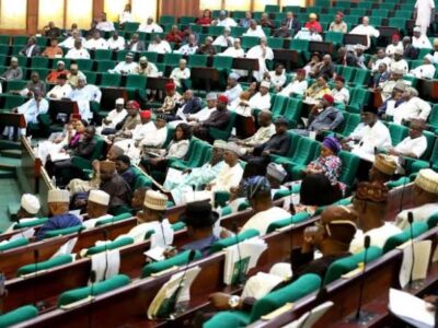 Constitution review: Reps to begin zonal public hearings June 1, 2021