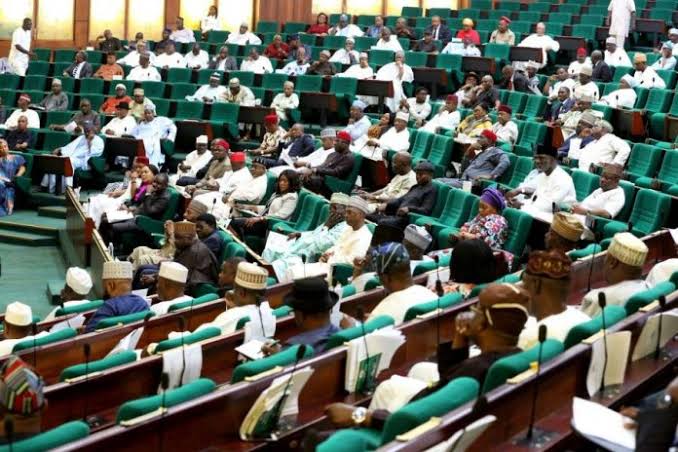 Reps consider scrapping NYSC as bill reaches second reading