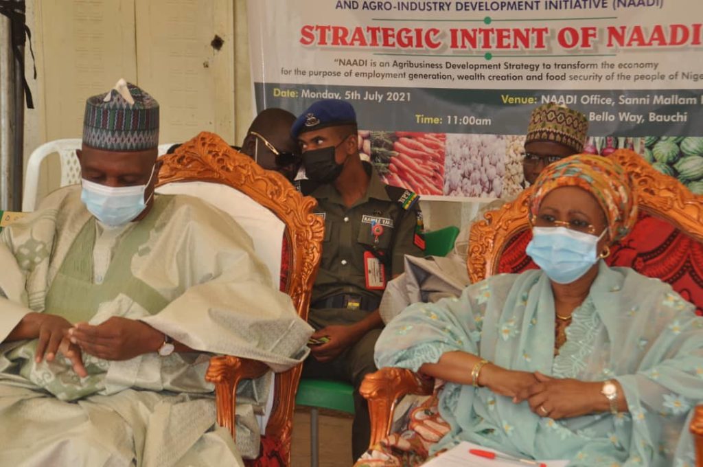 BREAKING: Minister collapses during official engagement in Bauchi