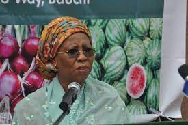 BREAKING: Minister collapses during official engagement in Bauchi