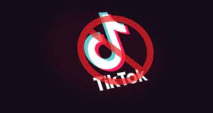 Again, Pakistan blocks TikTok
