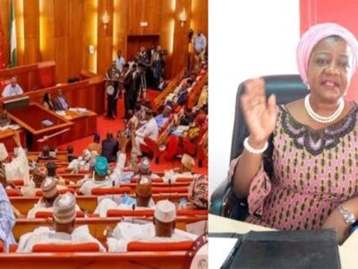 BREAKING: Senate rejects Onochie as INEC Commissioner