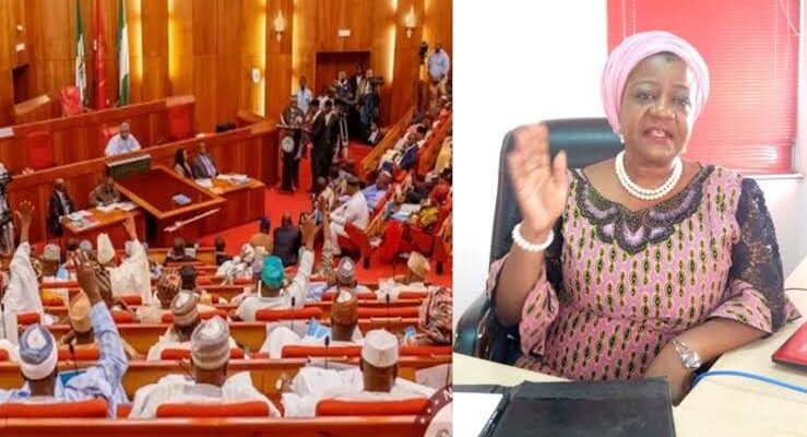 BREAKING: Senate rejects Onochie as INEC Commissioner