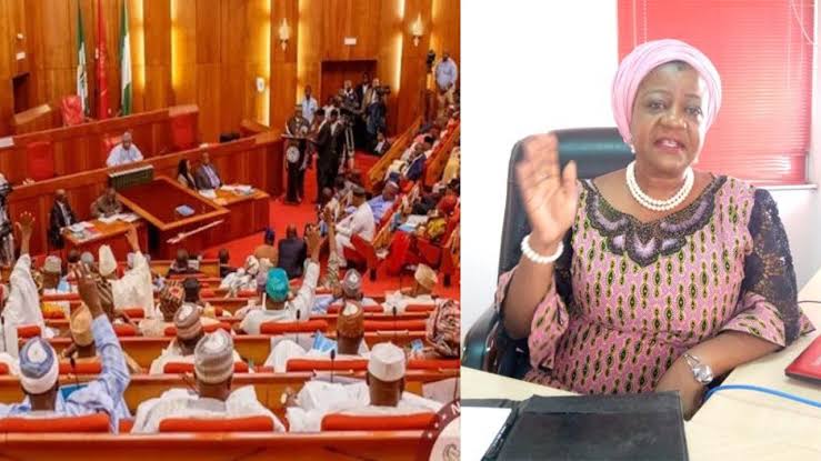 BREAKING: Senate rejects Onochie as INEC Commissioner