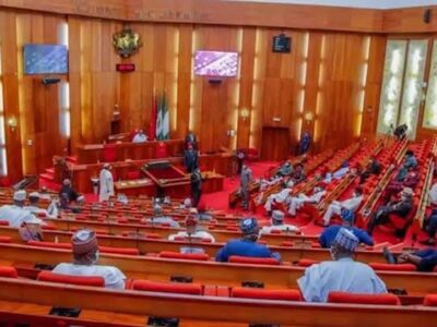 BREAKING: Reps oppose FG’s plan to allow firemen bear arms