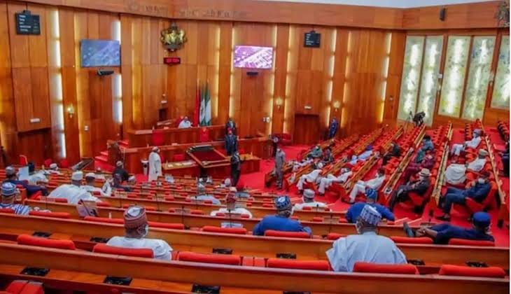 BREAKING: Reps oppose FG’s plan to allow firemen bear arms