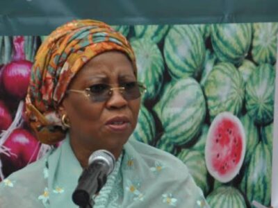 Minister who slumped at Bauchi event discharged from hospital