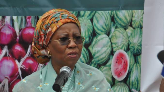 Minister who slumped at Bauchi event discharged from hospital