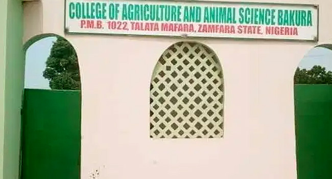 Abductors of Zamfara College students demand N350 million