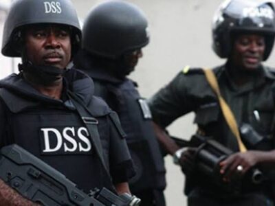 Lawyer asks court to stop SSS from using the name ‘DSS’