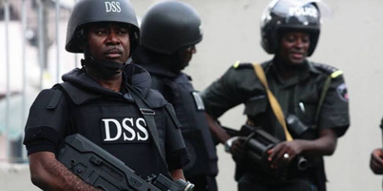 Lawyer asks court to stop SSS from using the name ‘DSS’