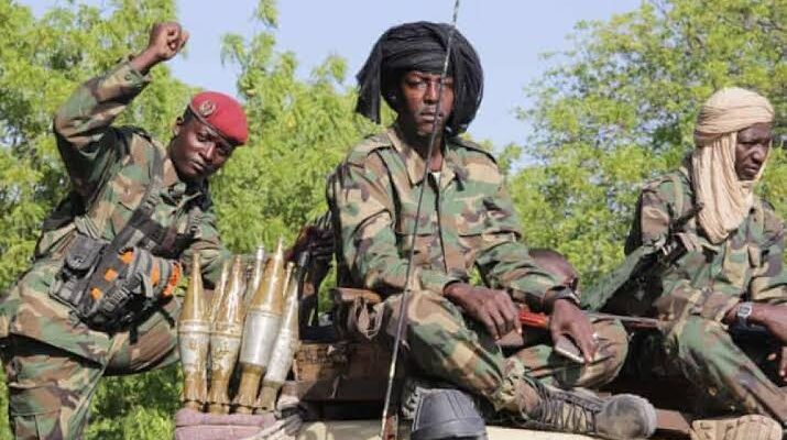 Troops eliminate 43 terrorists in Lake Chad Region