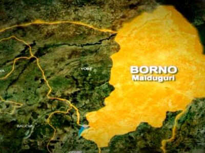 Villagers flee as Boko Haram attacks Yobe community