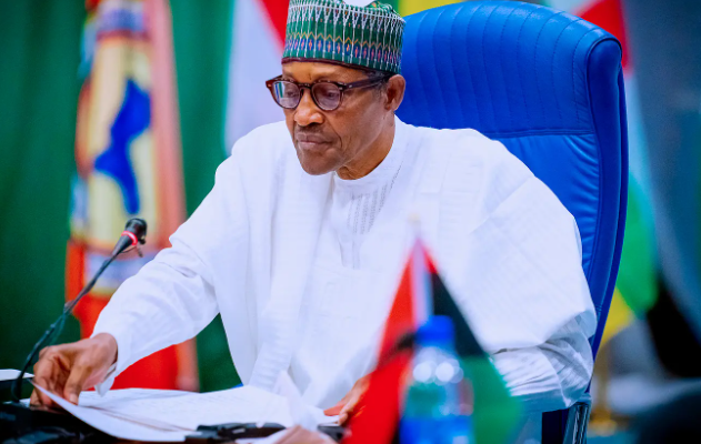Buhari receives NDDC forensic audit report