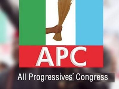 APC holds LG Congress elections nationwide