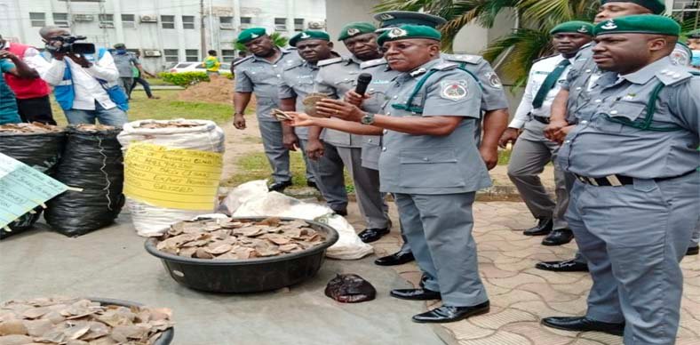 Customs Strike Force impounds pangolin scales, claws in Lagos
