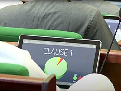 [BREAKING] Constitution Amendment: NASS okays autonomy for local governments