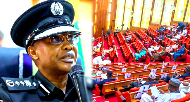 Senate asks IGP to investigate, prosecute foreigners maltreating Nigerians
