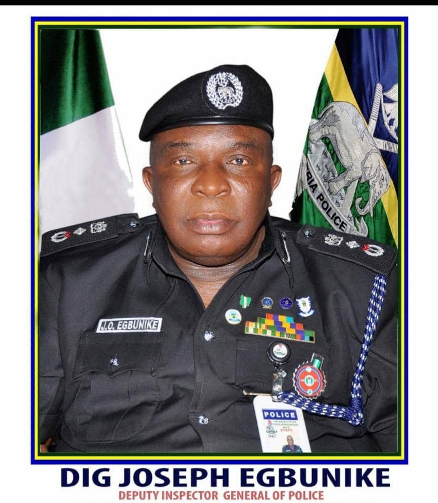 DIG Egbunike, Head of Abba Kyari probe panel, dies in Abuja office