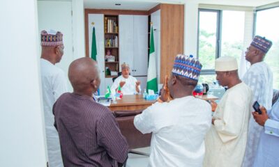 Uzodimma, Matawalle to lead supervision of APC Convention