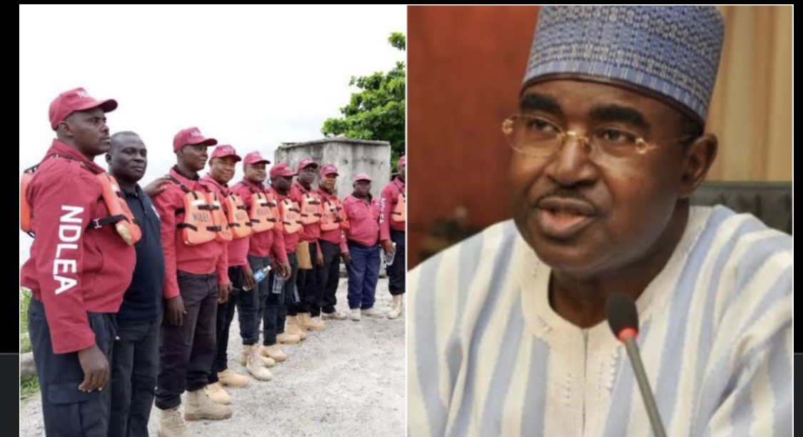 BREAKING: NDLEA writes APC, seeks drugs integrity test for politicians before primaries