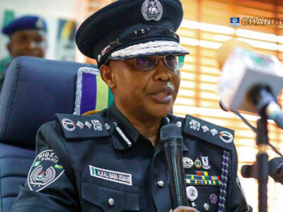 IGP appoints new CPs to curb gunmen attacks in Imo, Kaduna, others