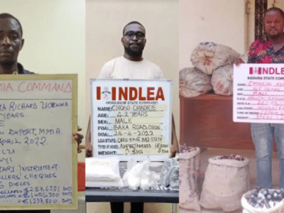 NDLEA intercepts N1.1bn travellers’ cheques, 10.89kg cocaine at Lagos airport